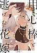 『用心棒と逃げた花嫁』の表紙