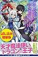 『偽りの聖女は竜国の魔法使いになりました』の表紙