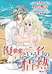 『復讐という名の情熱【分冊】』の表紙