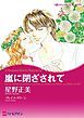 『嵐に閉ざされて【分冊】』の表紙