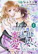 『エリート弁護士に蜜月同棲で愛し尽くされています【分冊版】』の表紙