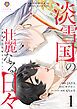 『淡雪国の壮麗なる日々』の表紙
