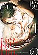 『魔性の檻』の表紙