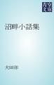 『沼畔小話集』の表紙