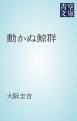 『動かぬ鯨群』の表紙