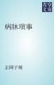 『病牀瑣事』の表紙