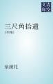 『三尺角拾遺』の表紙