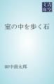 『室の中を歩く石』の表紙