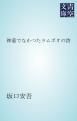 『神童でなかつたラムボオの詩』の表紙