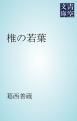 『椎の若葉』の表紙