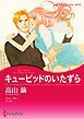 『キューピッドのいたずら〈パーソナル・タッチ！ ＩＩ〉【分冊】』の表紙