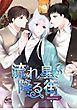 『流れ星が降る街』の表紙