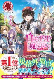 『自称平凡な魔法使いのおしごと事情』の表紙