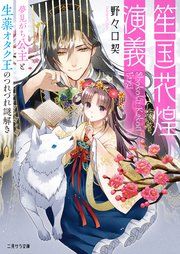 『笙国花煌演義』の表紙