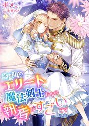 『外国出身エリート魔法剣士からの執着がすごいです』の表紙