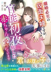 『離婚必至の仮面夫婦ですが、官能初夜で宿した赤ちゃんごと愛されています』の表紙