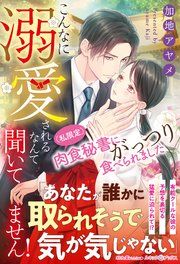 『こんなに溺愛されるなんて聞いてません! (私限定)肉食秘書にがっつり食べられました』の表紙