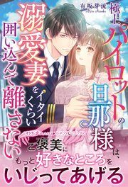 『極上パイロットの旦那様は、溺愛妻をイタイくらい囲い込んで離さない』の表紙