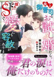 『極上御曹司とお試し婚したら、隠れドSで愛にも容赦がありません!』の表紙