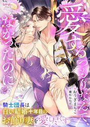 『愛するつもりなんて、なかったのに 騎士団長は白い結婚十年目のお飾り妻を愛し尽くす』の表紙