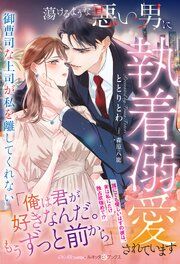 『蕩けるような悪い男に執着溺愛されています～御曹司な上司が私を離してくれない～』の表紙
