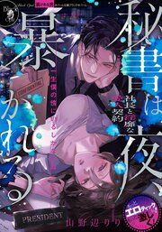 『秘書は夜、暴かれる 社長と淫靡な愛人契約』の表紙