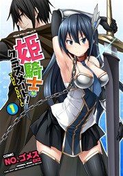 『姫騎士がクラスメート! THE COMIC』の表紙