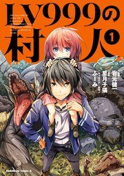 『LV999の村人』の表紙