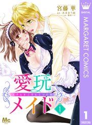 『愛玩メイド 王子とすごすヒミツの夜』の表紙