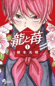 『龍と苺』の表紙