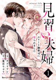 『見習い夫婦〜エリート御曹司に娶られました〜』の表紙