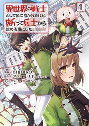 『異世界の戦士として国に招かれたけど、断って兵士から始める事にした』の表紙