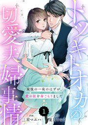 『comic Berry’sトツキトオカの切愛夫婦事情～最後の一夜のはずが、愛の証を身ごもりました～』の表紙