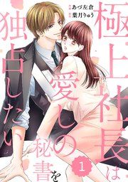 『comic Berry’s極上社長は愛しの秘書を独占したい』の表紙