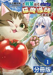 『我輩は猫魔導師である～キジトラ・ルークの快適チート猫生活～【分冊版】』の表紙