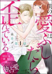 『僕の愛はふしだらに歪んでいる(分冊版)』の表紙