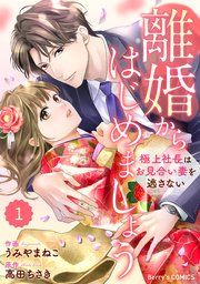 『comic Berry’s離婚からはじめましょうー極上社長はお見合い妻を逃さないー』の表紙