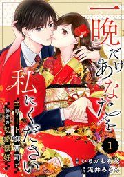 『comic Berry’s一晩だけあなたを私にください～エリート御曹司と秘密の切愛懐妊～』の表紙