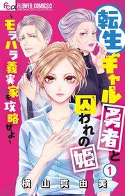 『転生ギャル勇者と囚われの姫~モラハラ義実家を攻略せよ~』の表紙