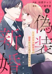 『comic Berry’s偽装新婚～イジワル御曹司の溺愛からは逃げられない～』の表紙