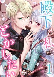 『殿下は私をとかしたい』の表紙