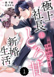 『comic Berry’s離婚前提、夫婦はじめます～極上社長ととろ甘新婚生活～』の表紙