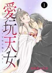 『愛玩天女～かぐや姫は穢される～』の表紙