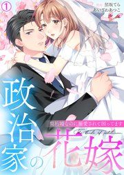 『政治家の花嫁~契約婚なのに溺愛されて困ってます~』の表紙
