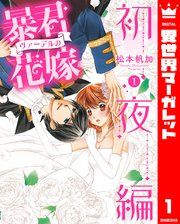 『暴君ヴァーデルの花嫁 初夜編』の表紙