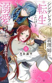 『シンデレラの義理姉に転生したけどふたりの王子に溺愛されています』の表紙