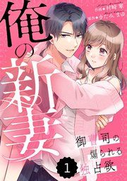 『comic Berry’s俺の新妻～御曹司の煽られる独占欲～』の表紙