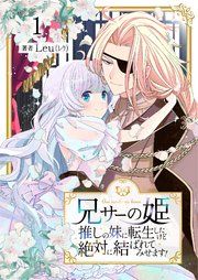 『兄サーの姫～推しの妹に転生したけど、絶対に結ばれてみせます!～』の表紙