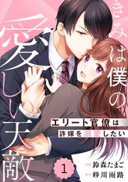『comic Berry’sきみは僕の愛しい天敵～エリート官僚は許嫁を溺愛したい～』の表紙