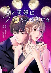 『月と夫婦は満ちれば欠ける』の表紙